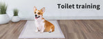 Pawz Pet Dog Cat Puppy Training Pads Toilet Potty Pee Mat Indoor 60x60cm 200/400