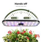 Hydroponics Growing System Indoor Garden Seed Starter Germination Smart Light