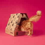 Portable Cat LItter Box 2x 3L Cat Litter Value Pack Absorbent 100% Biodegradable