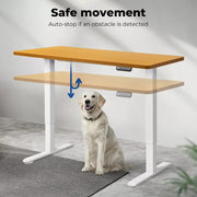 Levede Motorised Standing Desk Adjustable Electric Sit Stand Cable Management