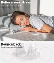 Dreamz 2x Natural Latex Pillow Removable Cover Memory Down Luxurious Soft