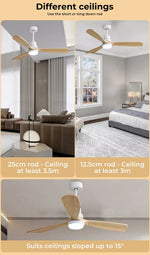Spector LED Ceiling Fan with Light Remote 52'' DC Motor Walnut Blades 2 Rod