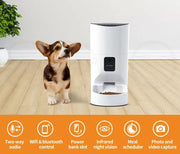 Pawz Auto Pet Feeder Wifi Camera Automatic Cat Dog Smart Food Dispenser App