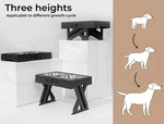 Pawz Elevated Pet Feeder Food Water Double Bowl  Adjustable Height Raised Stand