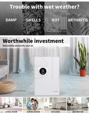Spector 2L Portable Dehumidifier Air Purifier Dual-core 65W Efficient Dryer