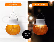 Emitto Fly Trap Repellent Solar Light Indoor Outdoor Garden Home Chemical Free