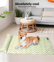 Pawz Pet Cooling Mat Dog Cat Gel Non-Toxic Bed Pillow Sofa Self-cool Summer Pad