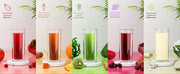 Spector Cold Press Slow Juicer Whole Fruit Juice Extractor Vegetable Processor