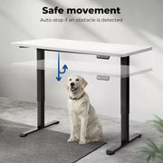 Levede Motorised Standing Desk Adjustable Electric Sit Stand Cable Management