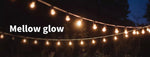 Emitto Festoon String Lights Christmas Party Garden Decor Plant Fruit Grow Light