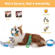 Pawz Dog Chew Toy Squeaky Puppy Pet Play Aggressive Chewers Interactive 16 style