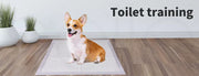 Pawz Puppy Training Pads Pet Dog Cat Potty Pee Super Absorbent 200/400 60x60