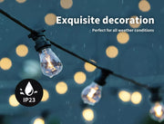 Emitto Festoon String Lights Christmas Party Garden Decor Plant Fruit Grow Light