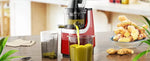 Spector Cold Press Slow Juicer Whole Fruit Juice Extractor Vegetable Processor
