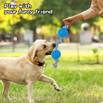 PaWz Dog Chew Toys Squeaky Teething Toys 6 Styles Puppy Pet Rope Plush Toy