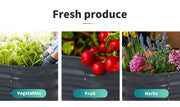 Lambu Garden Bed Planter Raised Coated Galvanised Steel Vegetable Beds Oval 3.2m