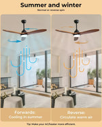 Spector 52'' Ceiling Fan DC Motor LED Light Remote 5 Speed Wood Blade1300mm