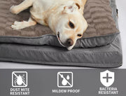 Pawz Dog Calming Bed Pet Cat Removable Cover Washable Orthopedic Memory Foam XL