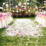 12 Paper Lanterns for Wedding Party Festival Decoration - Mix & Match Colours