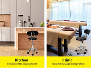 Levede Salon Stool Swivel Bar Stools Chairs Barber Hydraulic Lift Hairdressing