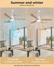 Spector LED Ceiling Fan with Light Remote 52'' DC Motor Walnut Blades 2 Rod