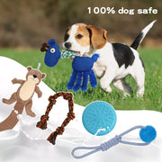 Pawz Dog Chew Toys Squeaky Puppy Pet Rope Plush Toy Teething 5 styles