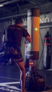 Centra Punching Boxing Bag Stand Electronic Counter Music LED Kick Gym Traning