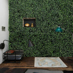 Marlow Artificial Boxwood Hedge Fake Vertical Garden Green Wall Fence 60x40x4cm