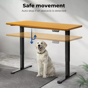 Levede Motorised Standing Desk Adjustable Sit Stand Cable Management 140X70cm