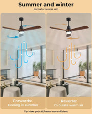 Spector 52'' Wood Ceiling Fan DC Motor with LED Light Remote Control 3 Blades