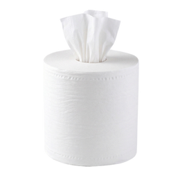 Centrefeed Towels – 300m