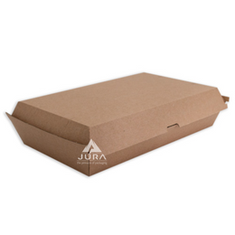 Kraft Board Family Box