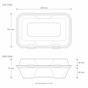 PW96 – 9x6x3″ Snack Pack Clamshell
