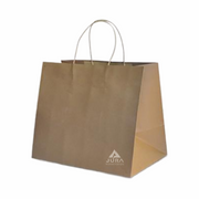 Medium Take Away Twisted Handle Paper Bag
