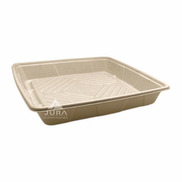12″ Sugarcane Platter